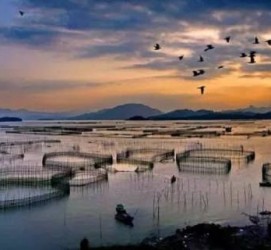 来宾伴游中国网景点丰富(旅游网介绍)