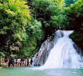来宾旅遊(旅游攻略)
