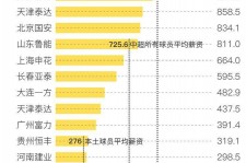 来宾关于伴游小丽中国足球的信息