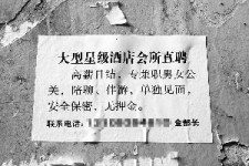 来宾珠海伴游雇用网(珠海游览社雇用信息)