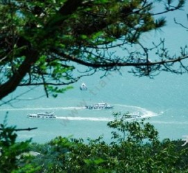 来宾中国伴游网与你分享旅游的点滴(中国伴游网与你分享旅游的点滴是什么)