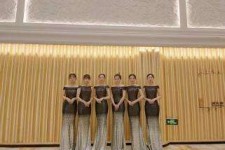 来宾杭州模特礼节兼职群(杭州兼职商务模特经纪人微信)
