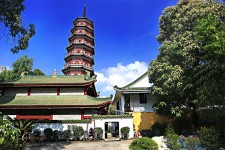 来宾广州自由行(广州 自由行)