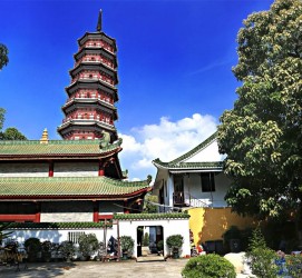 来宾广州自由行(广州 自由行)