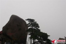 来宾上海伴游私家陪游雇用女模(上海伴游私家陪游雇用女模特)
