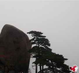 来宾上海伴游私家陪游雇用女模(上海伴游私家陪游雇用女模特)