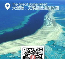 来宾中国250家旅行社结伴游新西兰(新西兰当地旅行社)