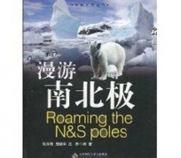 来宾游记攻略(ps西游记攻略)