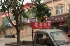 来宾上海伴游 用伴游造句大全(5