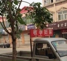 来宾上海伴游 用伴游造句大全(5