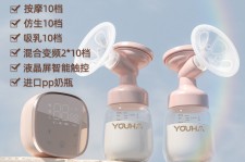 来宾奶模(奶模型)