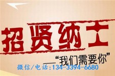 来宾酒店雇用伴游(酒店雇用伴游办事员)