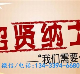 来宾酒店雇用伴游(酒店雇用伴游办事员)