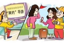 来宾伴游是什么
