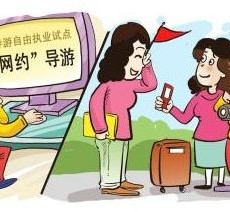 来宾伴游是什么