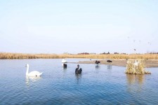 来宾南昌附近伴游小妹兼职(1534939978姐的微信德惠市)