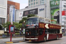 来宾上海私人伴游 上海过年怎么玩？这些“微游”线路了解下→