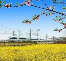 来宾高铁游(高铁游戏下载手机版)