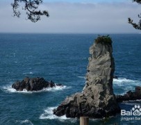 来宾旅游全攻略(上海旅游全攻略)