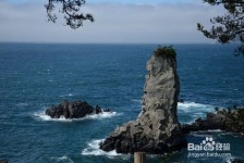 来宾旅游全攻略(上海旅游全攻略)
