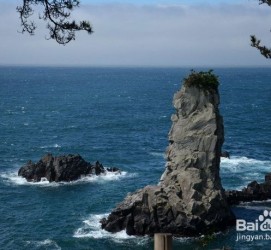 来宾旅游全攻略(上海旅游全攻略)