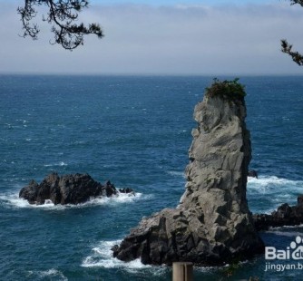 来宾旅游全攻略(上海旅游全攻略)
