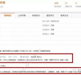 来宾游艇伴游雇用(游艇办事员雇用)