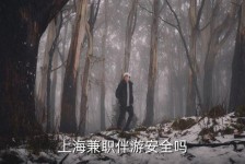 来宾上海私人伴游 上海伴游，上海兼职伴游安全吗