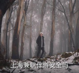 来宾上海私人伴游 上海伴游，上海兼职伴游安全吗