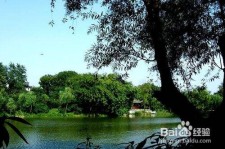 来宾西湖旅游攻略(上海到杭州西湖旅游攻略)
