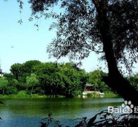 来宾西湖旅游攻略(上海到杭州西湖旅游攻略)