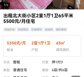 来宾私人伴游是什么 “过年租友”陷阱：骗财与色情服务