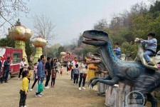 来宾中国伴游带你打卡网红南山竹海(南山竹海网上预约)