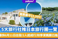 来宾旅游价格(旅游价格机制)