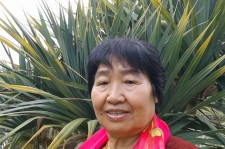 来宾白叟带老伴游半个中国(白叟外出旅游)