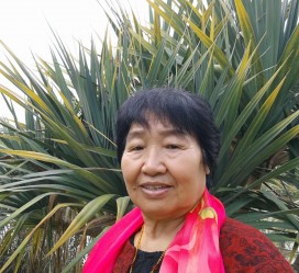 来宾白叟带老伴游半个中国(白叟外出旅游)