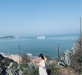 来宾厦门周边游(厦门及周边旅游攻略)