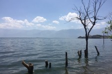 来宾洱海旅游攻略(洱海旅游攻略自由行)