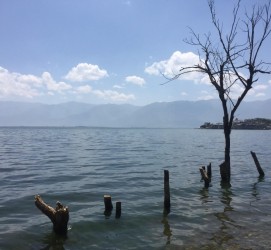 来宾洱海旅游攻略(洱海旅游攻略自由行)