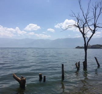 来宾洱海旅游攻略(洱海旅游攻略自由行)