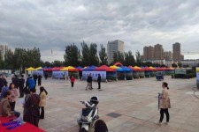 来宾通辽伴游雇用(哈尔滨伴游雇用)