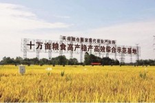来宾关于成都商务伴游外围雇用的信息