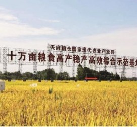 来宾关于成都商务伴游外围雇用的信息