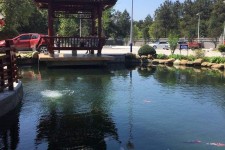 来宾久久伴游**(久久游代理)
