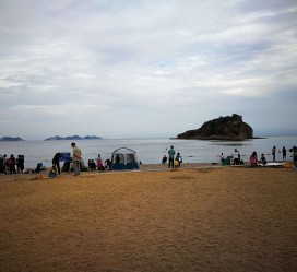 来宾五日游(五日游戏)