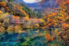 来宾四川旅游攻略(四川旅游攻略十五日游)