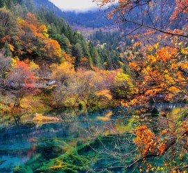 来宾四川旅游攻略(四川旅游攻略十五日游)