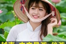来宾日本关东伴游中国(日本关西旅行)