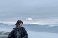 来宾四日游(朝鲜四日游)