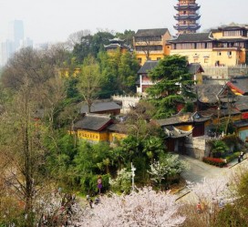 来宾南京周边游(南京周边游景点大全 自驾车旅游)